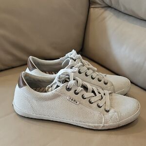 TAOS Casual Beige Sneakers with Brown Accents